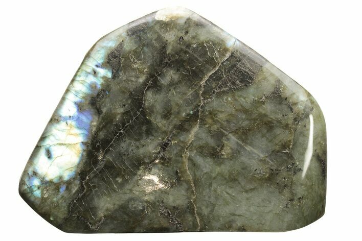 Flashy, Free-Standing Polished Labradorite - Madagascar #237864